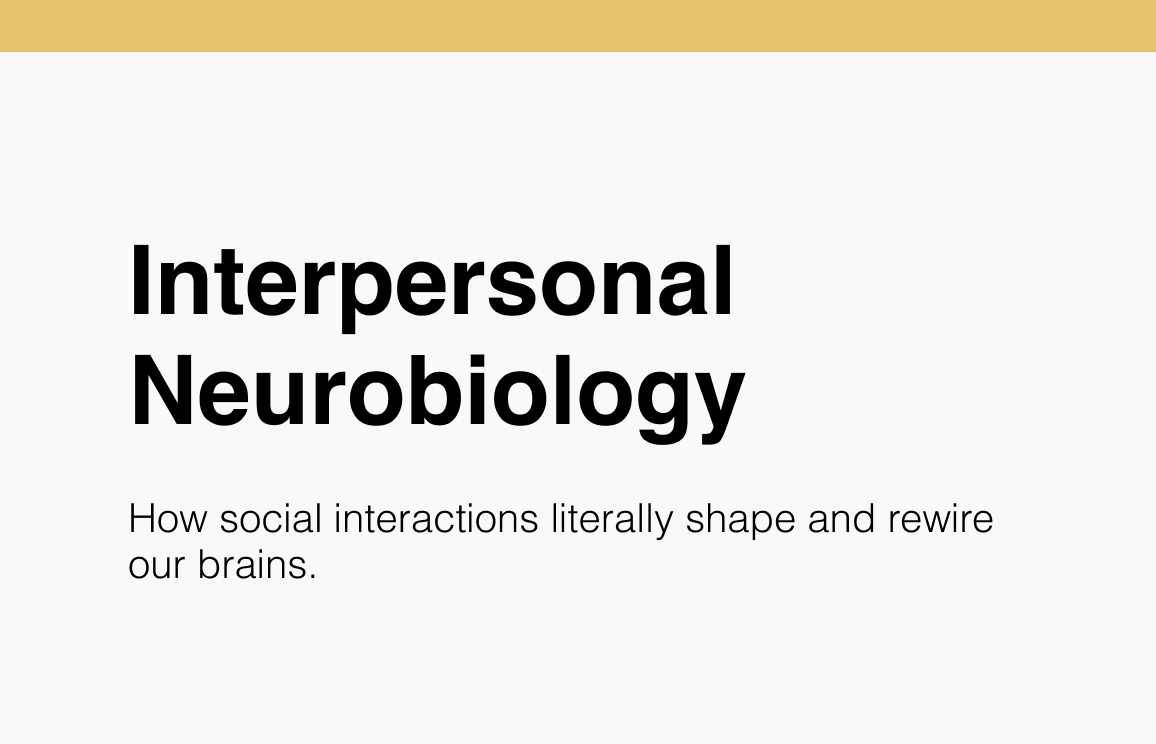 101 Interpersonal Neurobiology