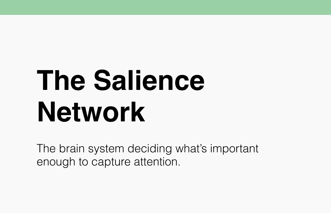 The Salience Network