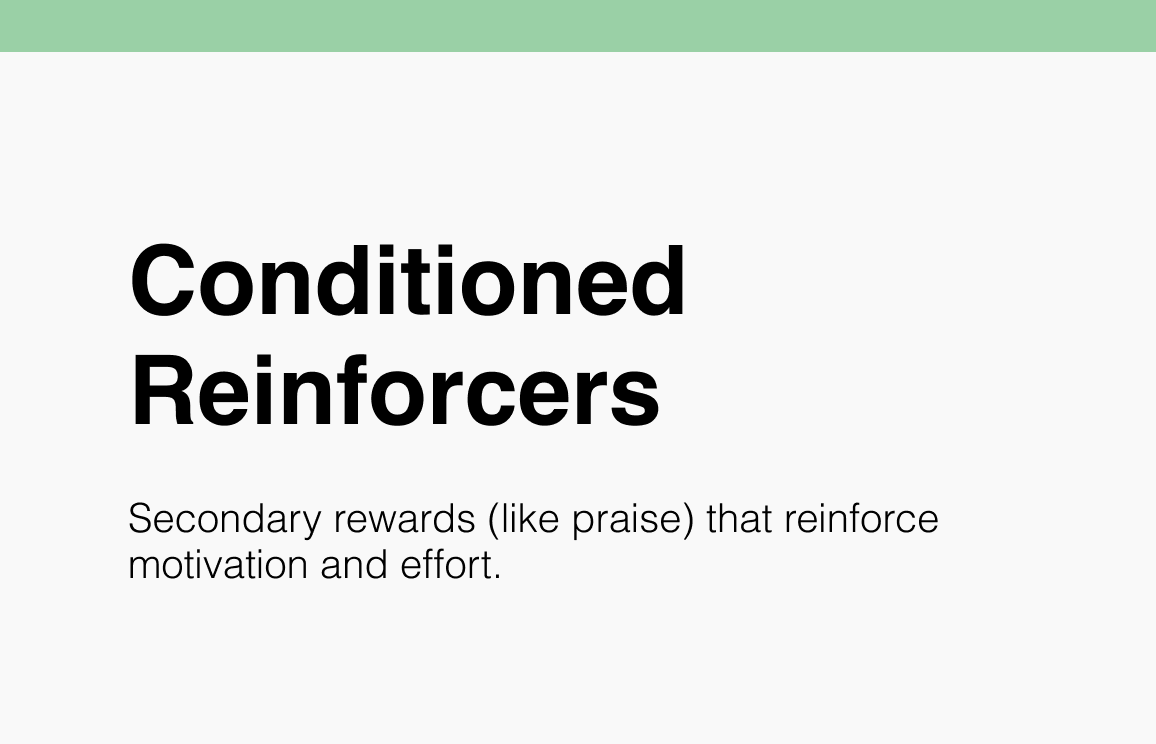 Conditioned Reinforcers