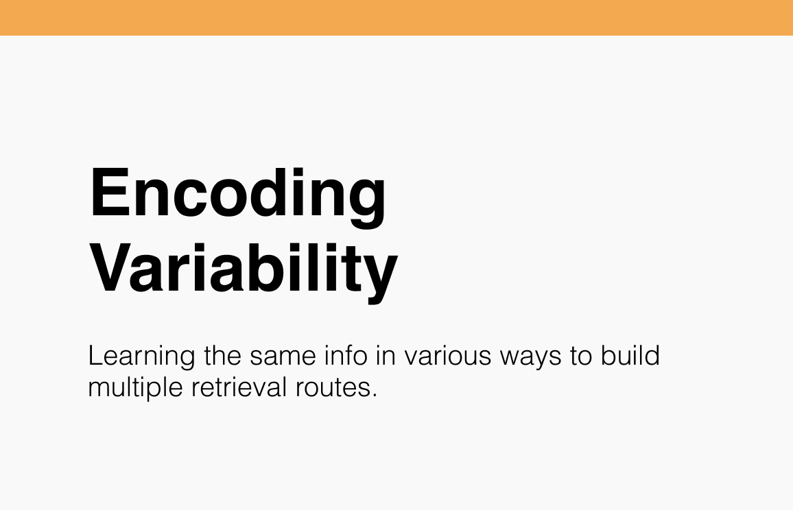 Encoding Variability