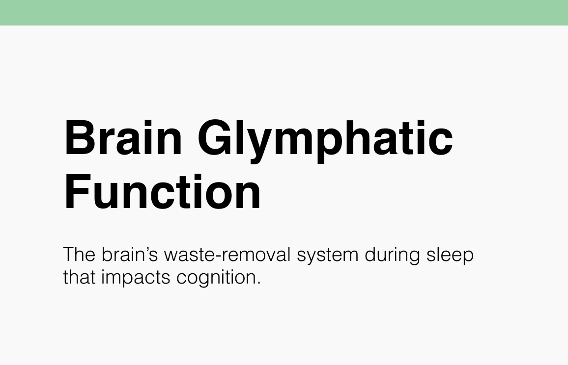 Brain Glymphatic Function